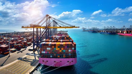 What Are the Hidden Costs of Not Hiring a Sea Freight Forwarder?