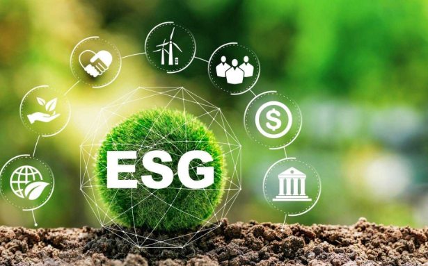 ESG scores