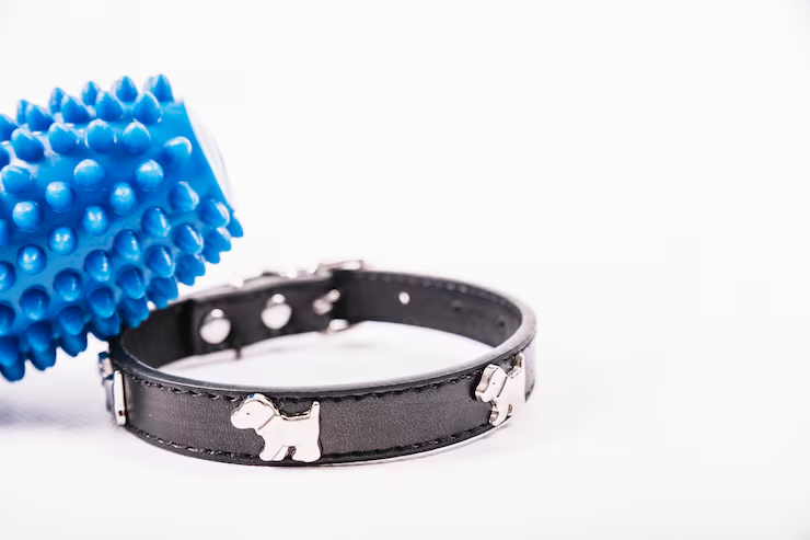 Buy Dog Collar Online: Complete Guide to Choosing Safe, Durable Collars for Your Pet