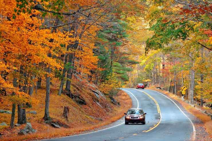 Scenic Drives in Asheville: A Guide for Road Trippers