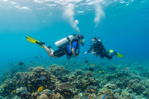 Why Koh Lipe Is the Perfect Place to Learn Scuba Diving