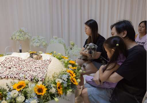 Caring Farewell Options for Beloved Pets and Families in Delhi